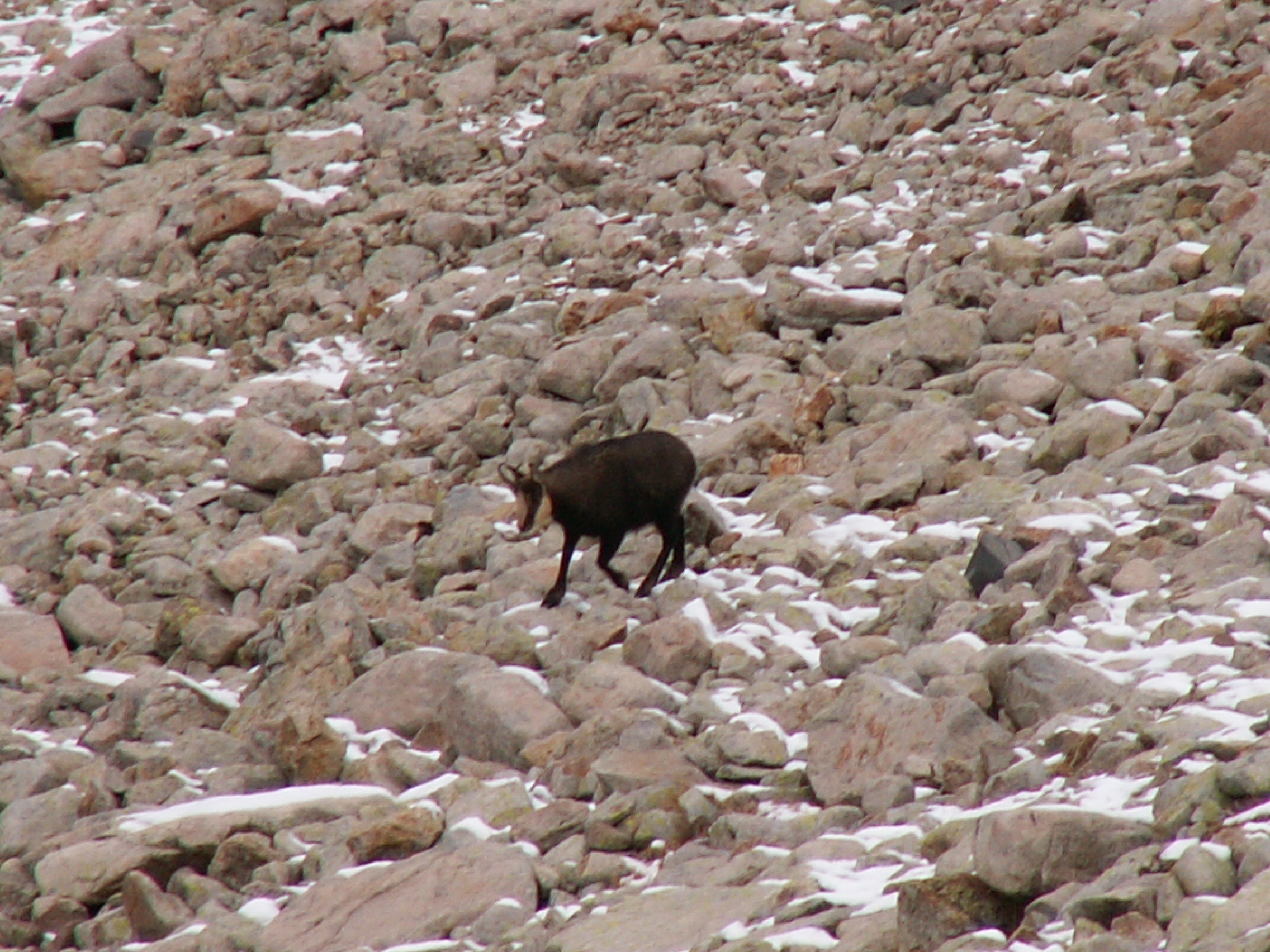 Photo Alpes Oisans Louer gite